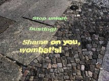 Wombat’s Venice: il business del turismo attacca i diritti dei lavoratori