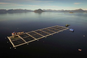 Chiloé, l’arcipelago colonizzato dall’industria “salmonera”