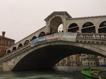 Da Matera a Venezia: uniti contro i cambiamenti climatici. Basta passerelle elettorali, è tempo di agire!