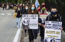 Sabato 10 aprile a Trento seconda manifestazione nazionale della campagna #StopCasteller per chiedere la liberazione dei tre orsi rinchiusi 