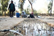 La Tunisia si sta prosciugando: la crisi idrica e alimentare si aggrava