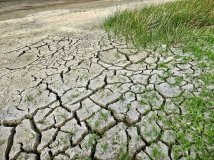 E’ arrivata la siccità. Tra cambiamenti climatici e cattive gestioni, il futuro è arido