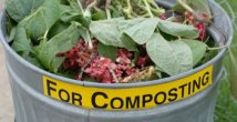 compostaggio commons