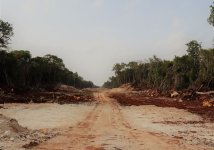 Grandi opere e devastazione ambientale nel Messico sud-orientale