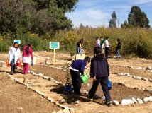 Bolivia - Cochabamba: il ritorno alla Terra inizia dalla scuola