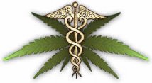 Medicine con cannabis ai malati terminali la Regione Puglia autorizza e copre tutte le spese