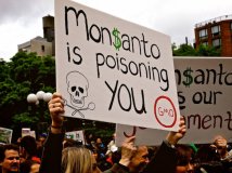 Monsanto in divieto di sosta